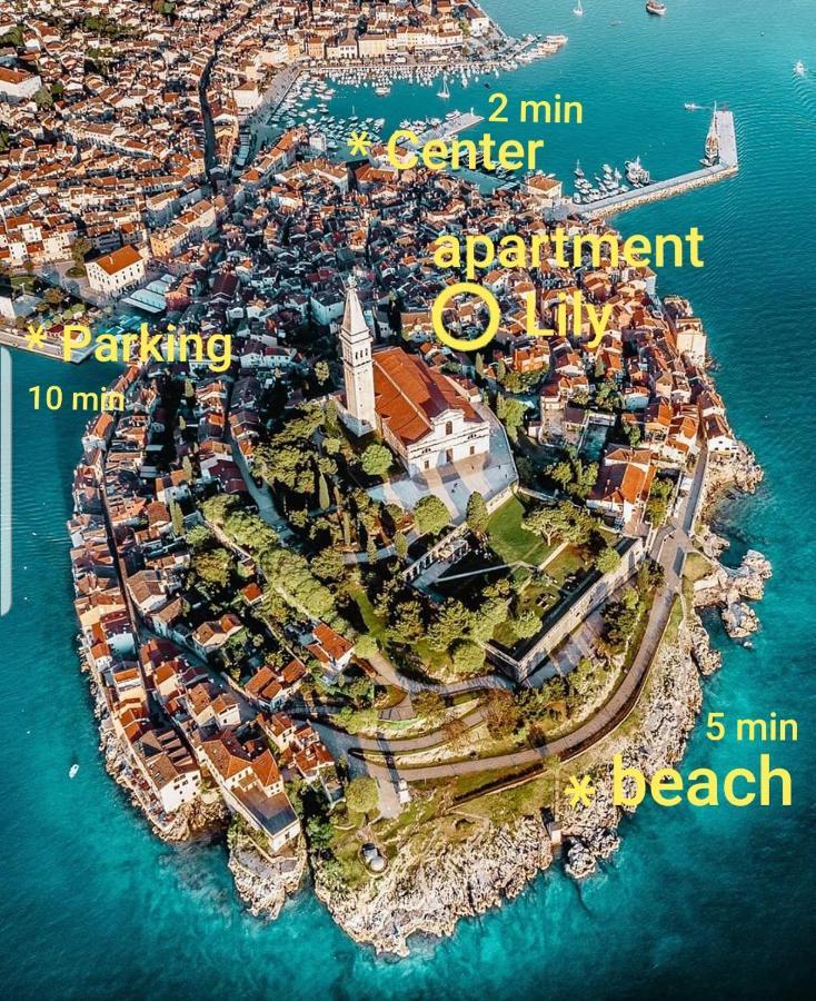 Studio Apartment Lily Rovinj Bagian luar foto