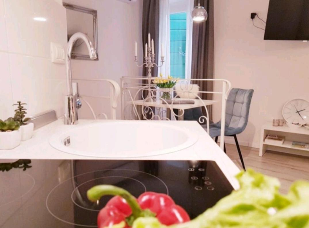 Studio Apartment Lily Rovinj Bagian luar foto